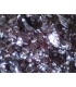 Schellack Garnet