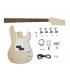 Boston guitar kit PB-10