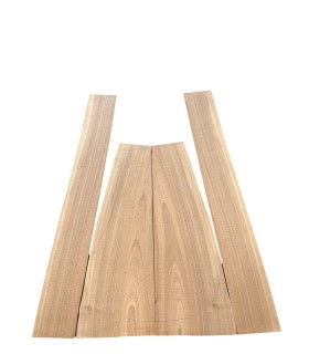 European Walnut 3