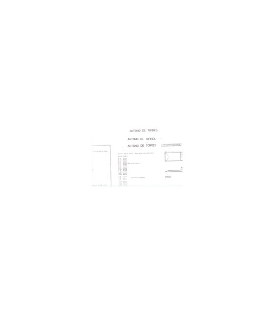 Antonio de Torres Gitarrenplan