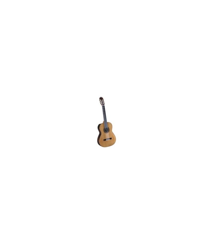 Guitare acoustique